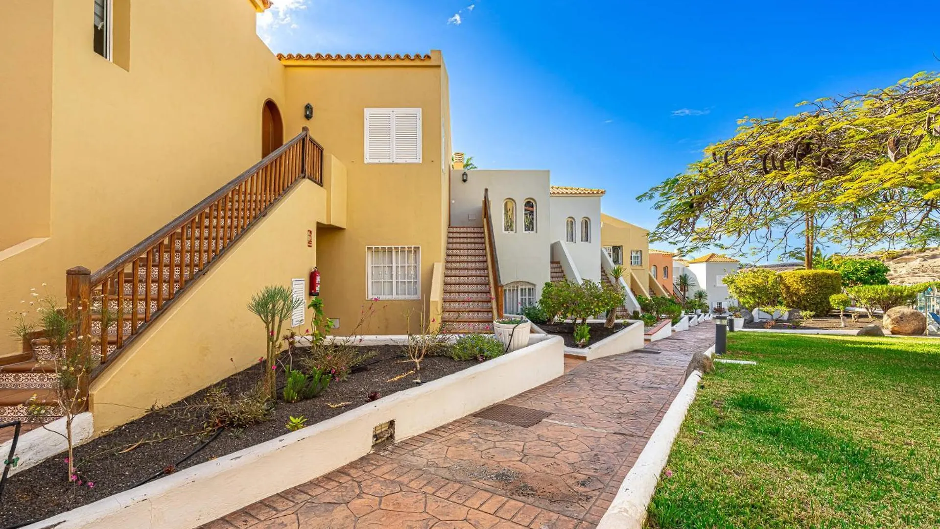 Oasi La Caleta Apartment Costa Adeje   Costa Adeje (Tenerife)